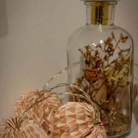 Votre Experience Insolite - Clair De Lune *