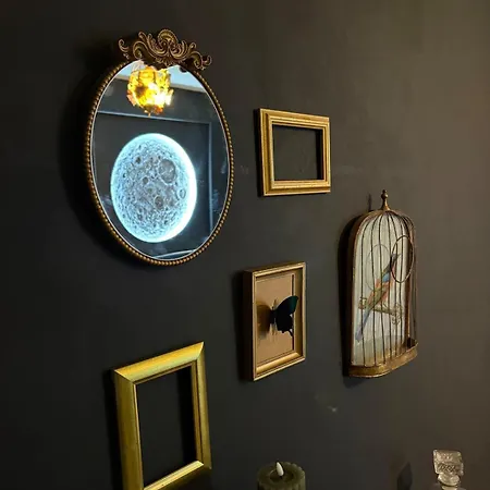 Votre Experience Insolite - Clair De Lune Caen