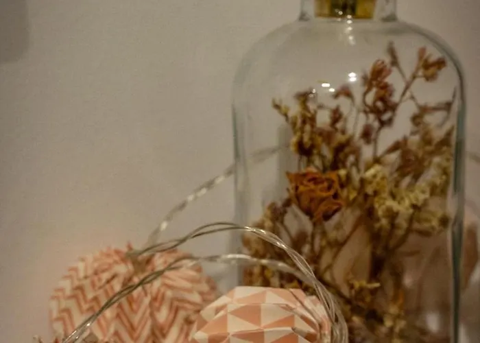 Votre Experience Insolite - Clair De Lune *